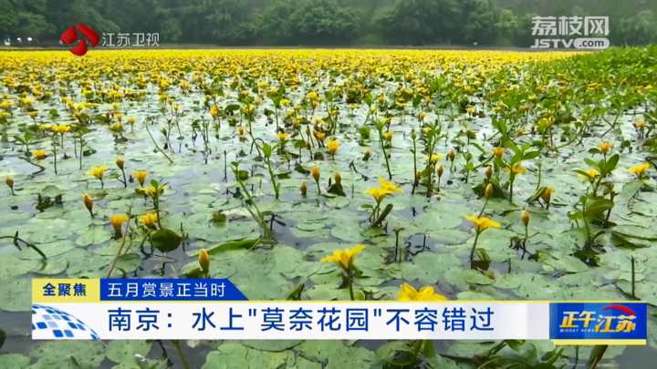 江蘇：五月賞景正當時