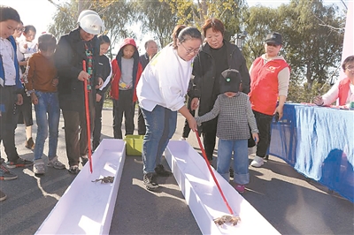 （頭條）南通海安“尋夢水鄉蟹逅青墩”文旅節舉行