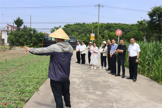 南通通州興東街道組織人大代表視察民生實事重點億元項目_fororder_圖片1