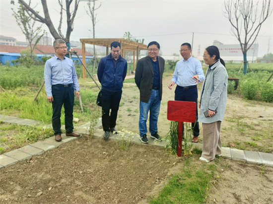 南通崇川人大深入開展“大地美容” 演繹荒地“變形記”_fororder_圖片3