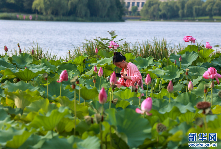 江蘇泰州：暢遊綠意公園 盡享自然之美_fororder_20240818f25e3efeca3d4c9696d84bdddb6f47a6_202408162556bc34400440ffa056f0c9cb7a1d59