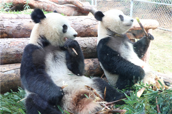 （供稿 旅遊列表 三吳大地南京 移動版）第十一屆湯山溫泉文化旅遊季將於11月16日開幕