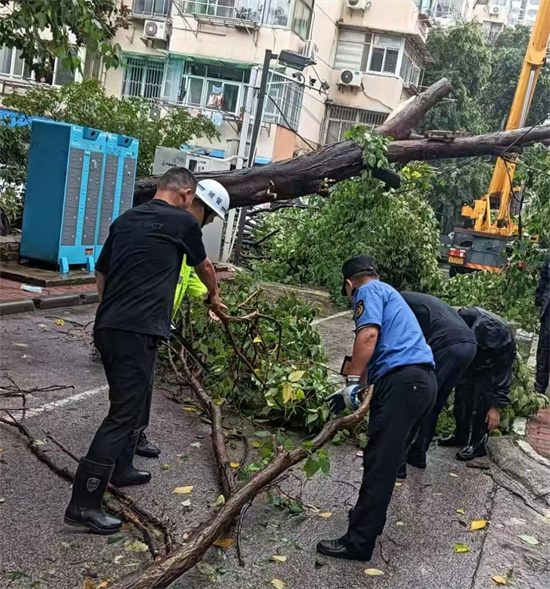 颱風來襲 南京市秦淮區朝天宮街道城管部門迅速行動 築牢安全防線_fororder_圖片28