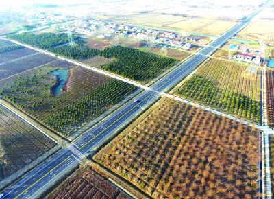 （頭條）淮安金湖的路：千里通途“杉”水間