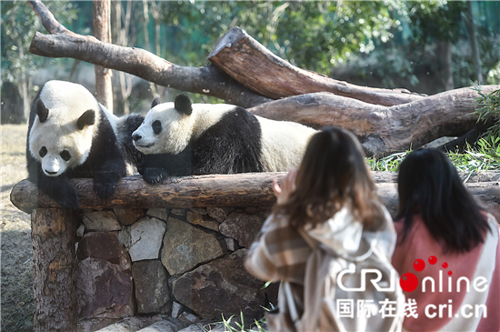 （原創 本網專稿 三吳大地南京 移動版）“聚焦紫東 打卡湯山”大型全媒體系列影像采風活動啟動（條目標題）“聚焦紫東 打卡湯山”采風活動啟動