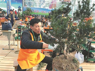 （要聞 三吳大地南京 移動版）江蘇鄉土人才技能賽舉行花卉盆景決賽