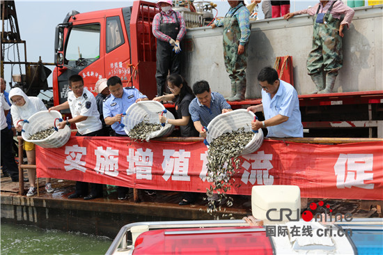 （供稿 社會廣角列表 三吳大地徐州 移動版）漁民非法捕撈獲刑  放流魚苗修復徐州駱馬湖生態