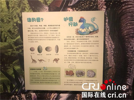 （原創 本網專稿 三吳大地南京 移動版）”稱霸侏羅紀“ 恐龍主題親子展即將於南京開幕（條目標題是：）”稱霸侏羅紀“ 恐龍主題親子展即將開幕