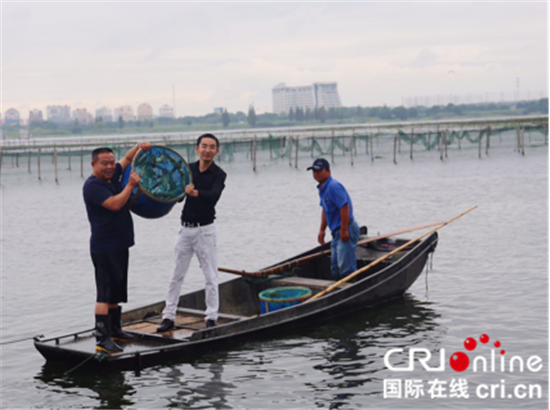 （供稿 社會廣角圖文 三吳大地蘇州 移動版）中國蘇州陽澄湖大閘蟹開捕節開幕