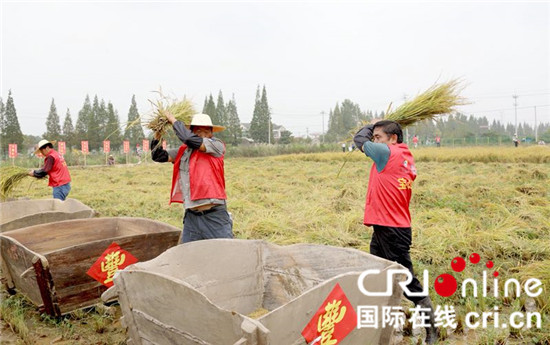 （原創 本網專稿 三吳大地鎮江 移動版）鎮江句容首屆農民豐收節開幕：精彩活動人氣高（條目標題是：）鎮江句容首屆農民豐收節開幕