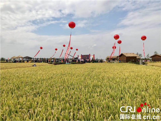 （供稿 三農列表 三吳大地南京 移動版）南京江寧湖熟“稻·花”節盛大啟幕