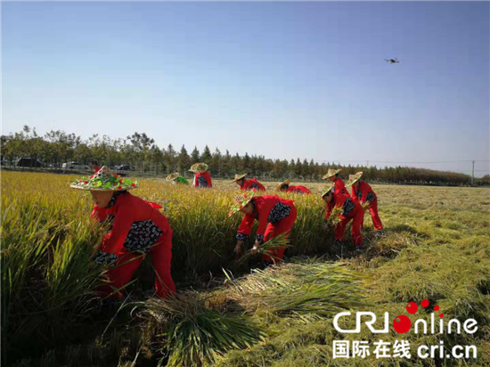 急稿（原創 本網專稿 三吳大地南通 移動版）南通海安市第五屆鄉村旅遊節暨第二屆雅周金秋豐收季開幕（條目標題是：）南通海安市第五屆鄉村旅遊節舉行