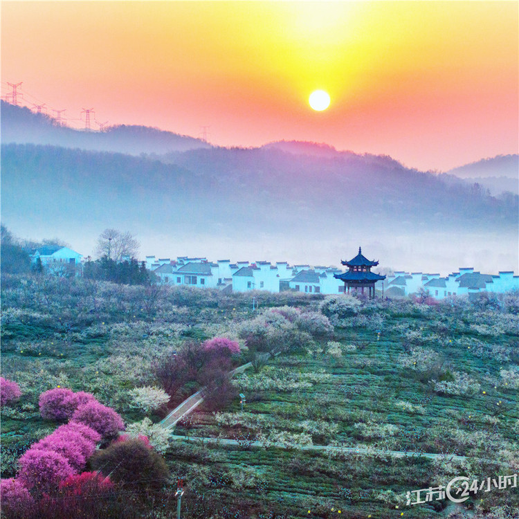 南京：美麗鄉村 景美如畫