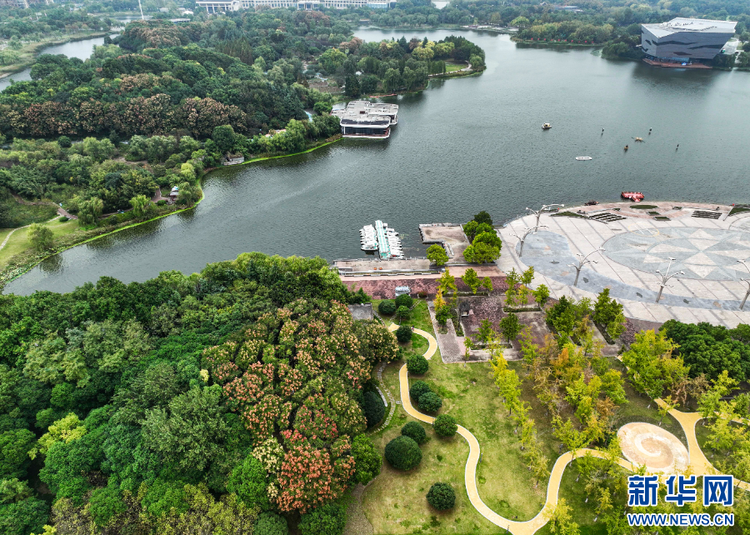 江蘇泰州：城市公園美如畫