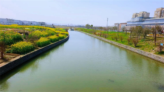 蘇州相城黃橋：水清岸綠 解鎖黃橋生態“密碼”