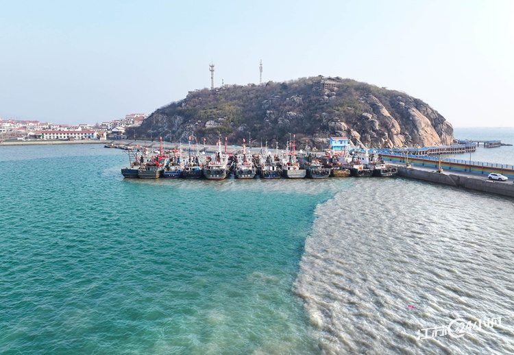 連雲港：漁港海水“涇渭分明”