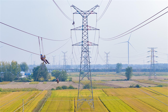 國網淮安供電公司檢修輸電線路提升電網安全運行水準