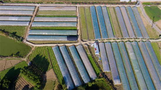 “高淳農田裏的新質生産力”系列報道丨高淳：稻花香裏説豐年的四字秘訣