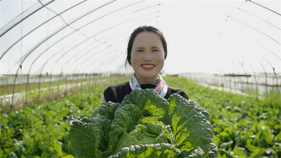 “高淳農田裏的新質生産力”系列報道丨高淳：稻花香裏説豐年的四字秘訣