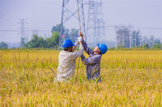 國網淮安供電公司檢修輸電線路提升電網安全運行水準