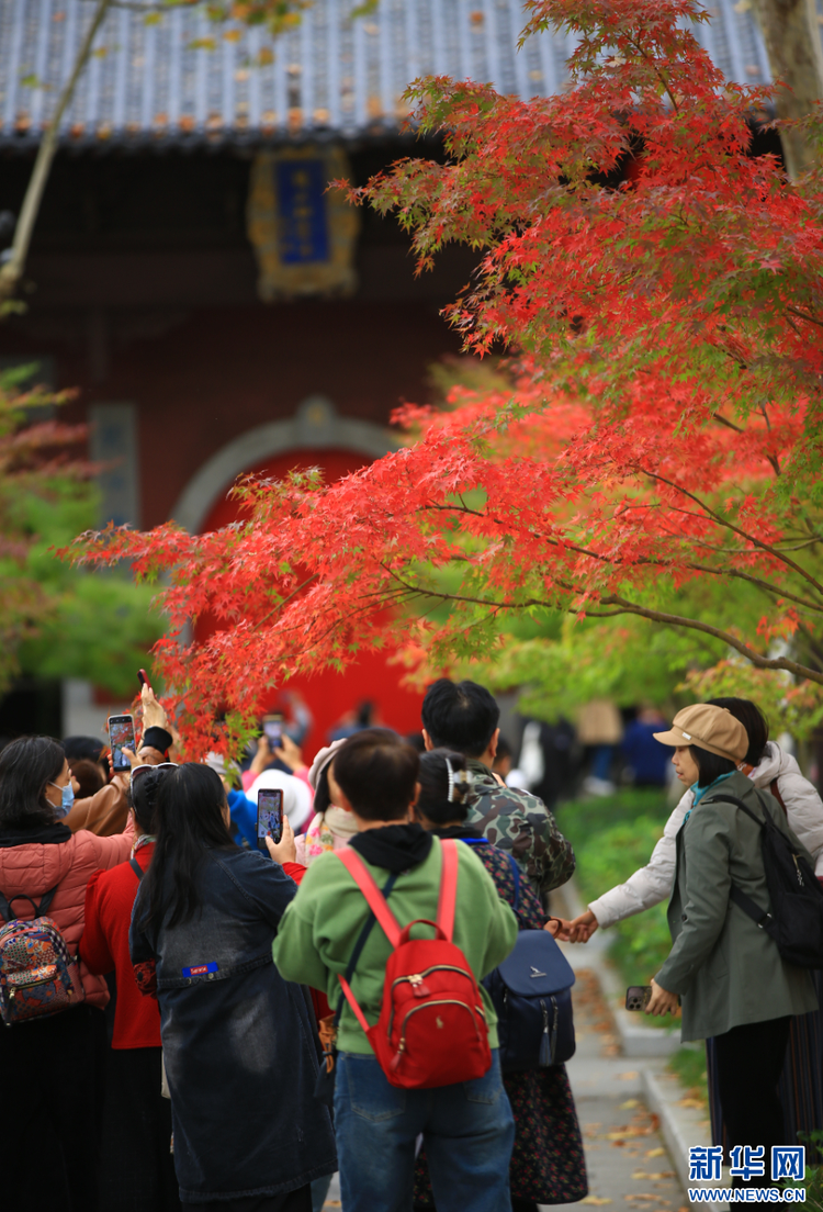 南京棲霞山：賞楓正當時