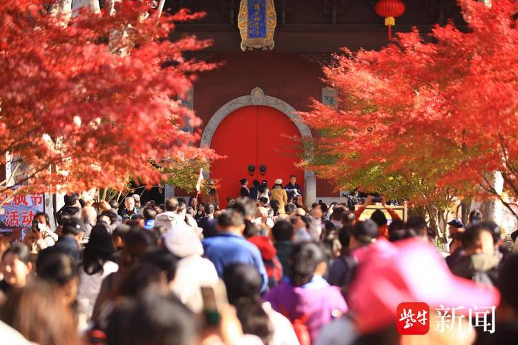 南京棲霞山、植物園紅楓崗迎來最佳觀賞期