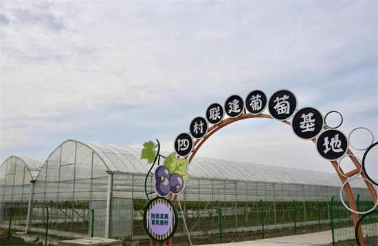 南通如東縣掘港街道：“飛地抱團”激活村集體經濟發展新動能