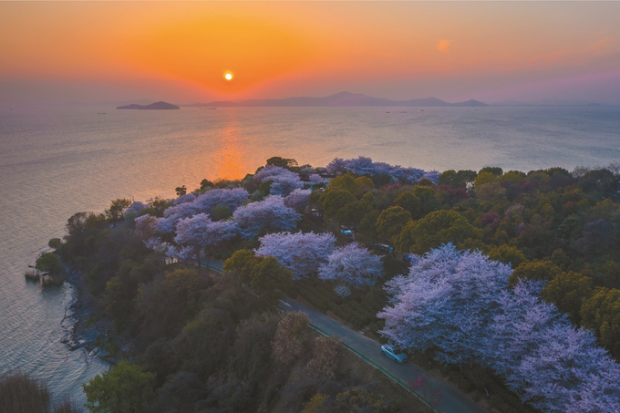 無錫：逐“綠”向前行 唱響新時代“太湖美”