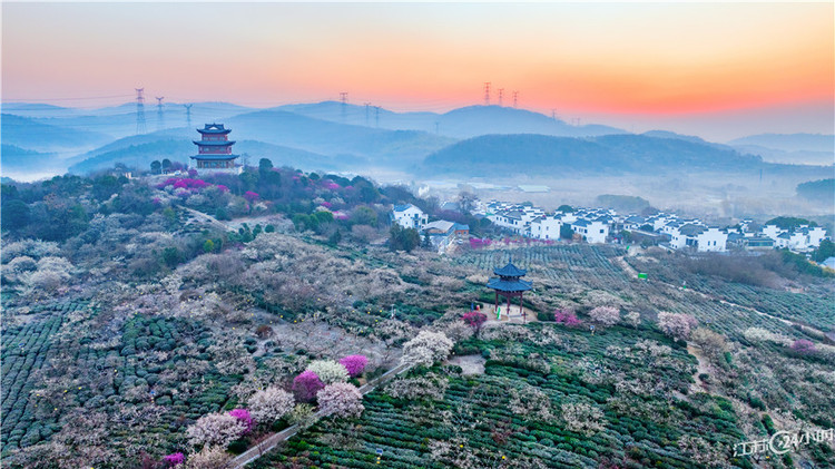 南京：美麗鄉村 景美如畫