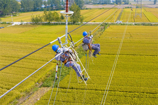 國網淮安供電公司檢修輸電線路提升電網安全運行水準