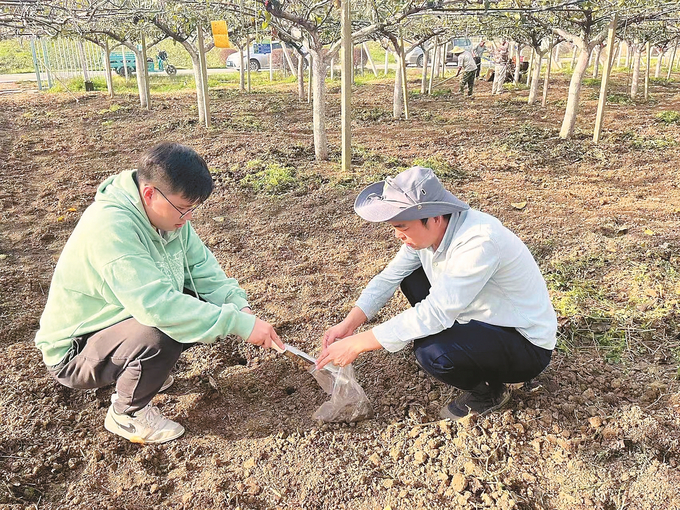 江蘇：讓“小院”助力鄉村發揮更大作用