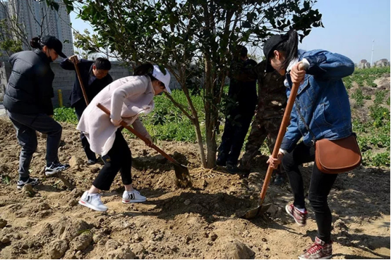 (供稿 文體列表 三吳大地泰州 移動版)泰州海陵區四套班子領導參加義務植樹活動