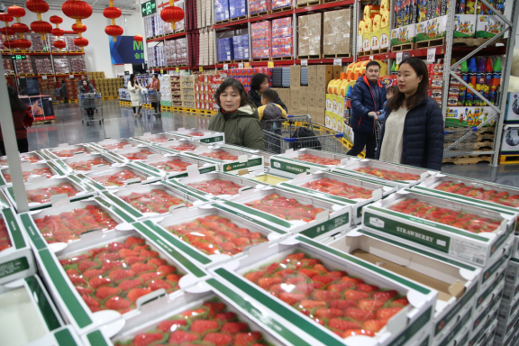 (供稿 企業列表 三吳大地南京 移動版)南京山姆會員店年貨銷售旺景提前到來 (供稿 企業列表 三吳大地南京 移動版)南京山姆會員店年貨銷售旺景提前到來