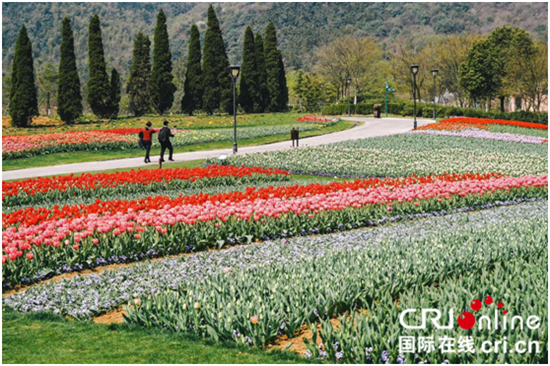 （供稿 旅遊圖文 CHINANEWS帶圖列表 移動版）2019常州鄉村旅遊節暨春到茅山賞花季活動開幕