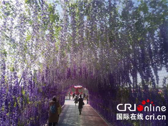 (原創 本網專稿 三吳大地泰州 移動版)泰州“悅動海陵”麒麟花海旅遊節啟動