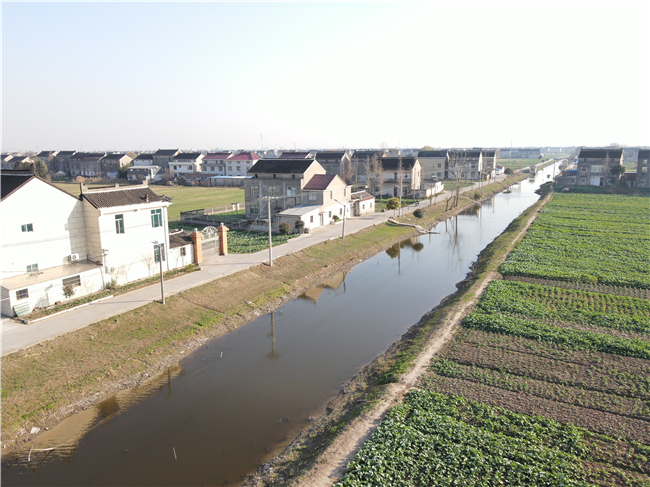如皋市江安鎮：讓河道重現碧波盪漾_fororder_8
