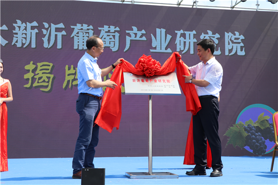 (供稿 三農列表 三吳大地徐州 移動版) 徐州市新沂市首屆阿湖葡萄文化節開幕