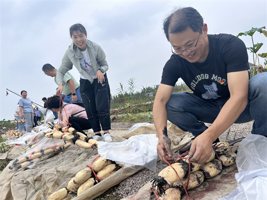 南通如皋市融媒體中心（傳媒集團）：發揮融媒優勢 賦能鄉村振興_fororder_圖片 3