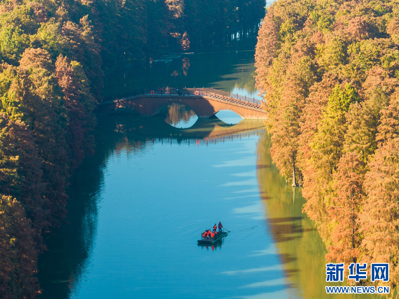 興化裏下河國家濕地公園：層林盡染 人在畫中游