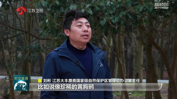 國際珍稀動物保護日 多種珍稀動物現身春日江蘇