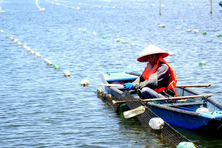 江蘇泗洪：夏日水鄉蚌農忙_fororder_8f4a1d3888714294962df58f58bf6133