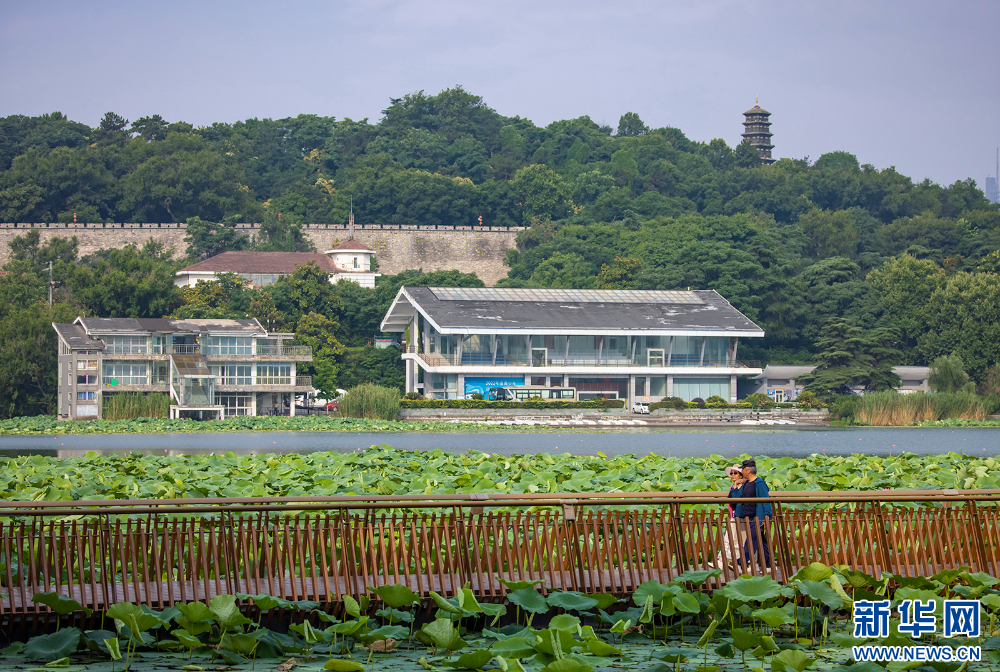 南京玄武湖：荷葉田田 美在當“夏”_fororder_2024061894eb75b78d2f43c9948d340aad31d0e5_20240618aa83497c148341858a00c3b009b7baf1