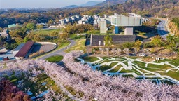 掘金“千億級”微短劇産業 南京浦口啟動“登攀”計劃
