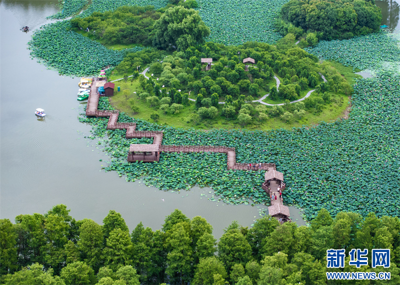 江蘇興化：暑期旅遊迎來高峰_fororder_202407229059910089024079b5fe87cc2c633f13_2024072253180a304ebc46bbb199574f06b5096c