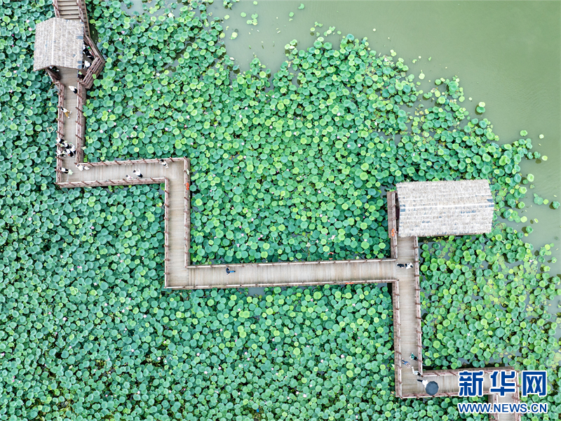 江蘇興化：暑期旅遊迎來高峰_fororder_202407229059910089024079b5fe87cc2c633f13_20240722361096acc36f430492c6a7a994227291