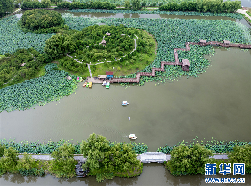 江蘇興化：暑期旅遊迎來高峰_fororder_202407229059910089024079b5fe87cc2c633f13_20240722d9d75dd6bc11429aa7da016809bf18d7