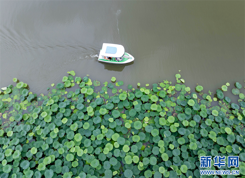 江蘇興化：暑期旅遊迎來高峰_fororder_202407229059910089024079b5fe87cc2c633f13_2024072241305f6b5e574317b9adc0a67d369f4f