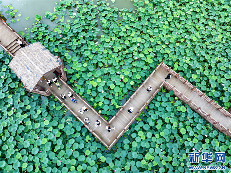 江蘇興化：暑期旅遊迎來高峰_fororder_202407229059910089024079b5fe87cc2c633f13_20240722ace6979bc149493198f02070bf4f29ee