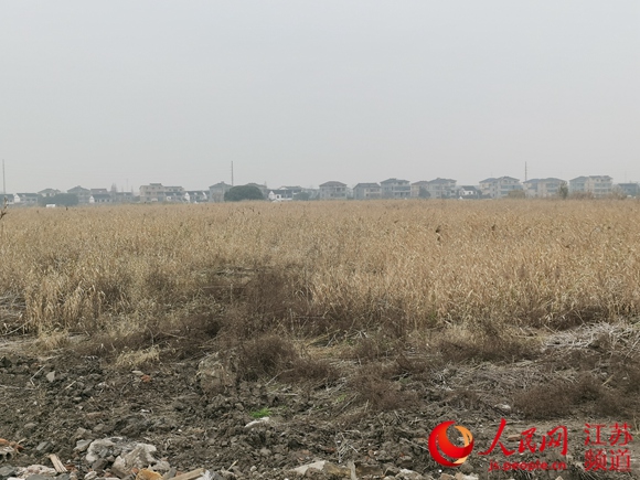 (焦點圖)蘇州吳江圍湖造地上千畝
