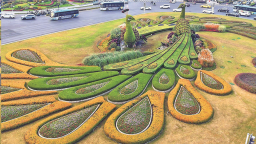 淮安淮陰區：一片繁忙景象